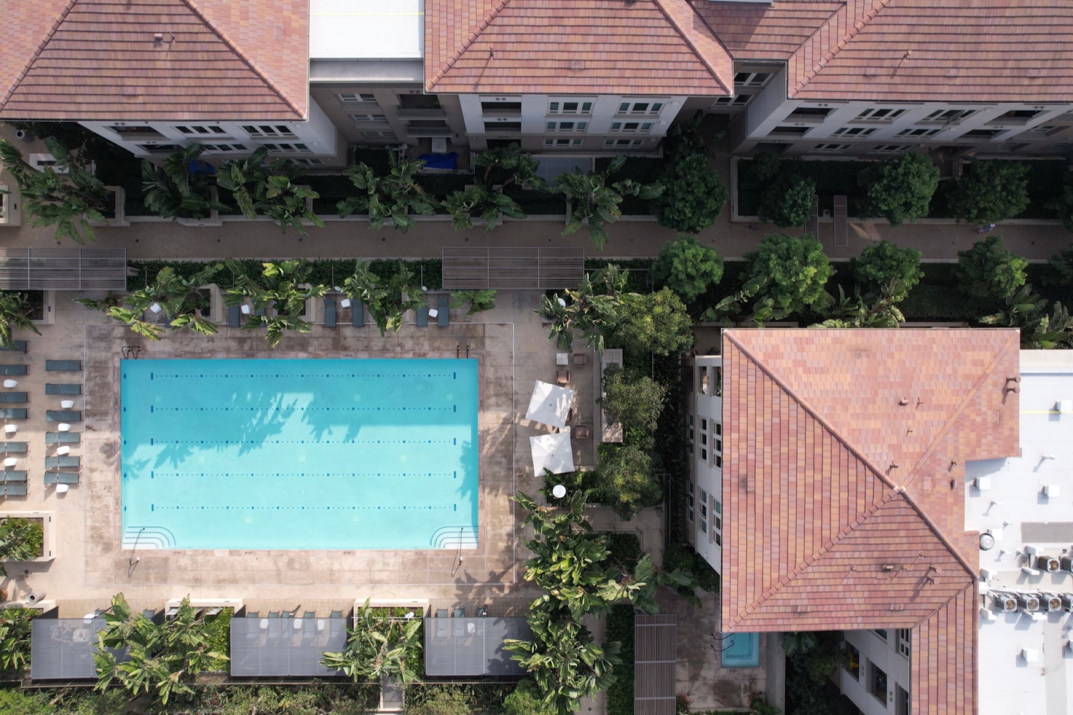 Apartment community courtyard